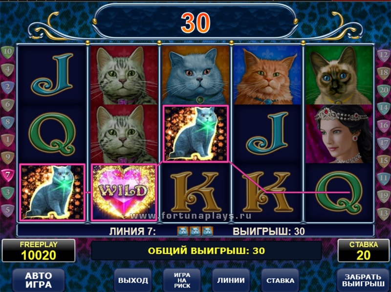 слот Diamond Cats играть бесплатно на казино Плей Фортуна